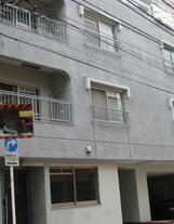 金剛MS