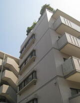 ハイキャスト大山