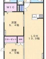 サンセベリアⅡ