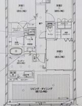 アデニウム志村ブルームフォート