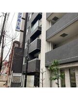 ハーキュリーズ両国